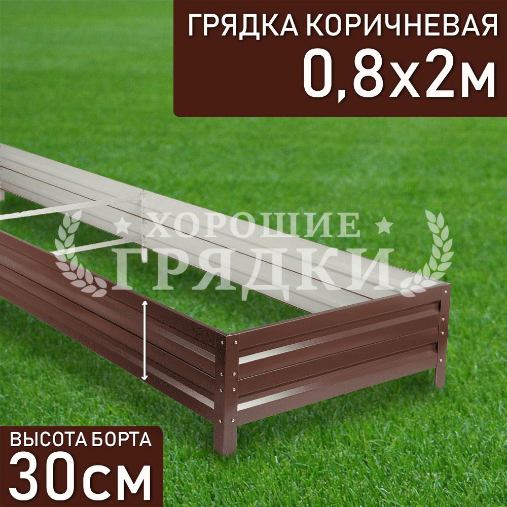 Коричневая-30-08-2